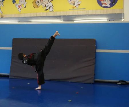 Double Dragon Tae Kwon Do