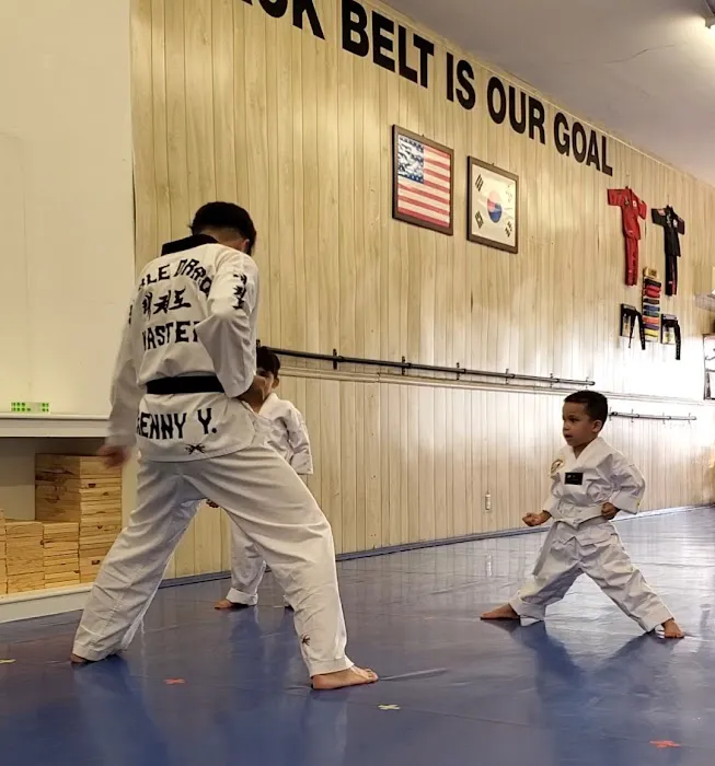 Double Dragon Tae Kwon Do Picture 6