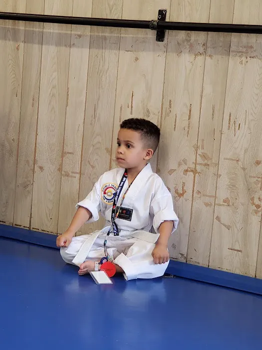 Double Dragon Tae Kwon Do Picture 7