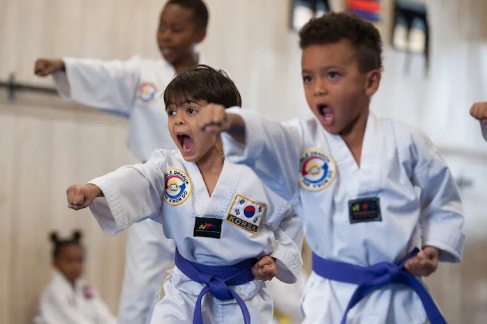 Double Dragon Tae Kwon Do Picture 4