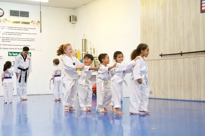 Double Dragon Tae Kwon Do Picture 3