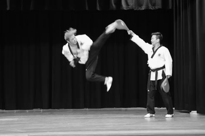 Double Dragon Tae Kwon Do Picture 10