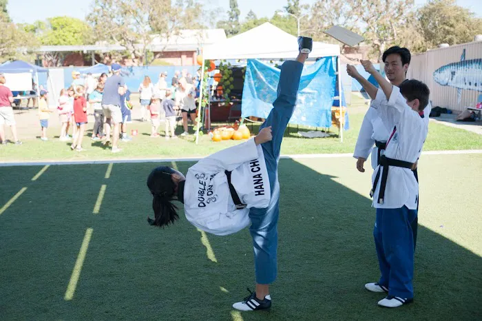 Double Dragon Tae Kwon Do Picture 9