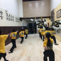 US Kung Fu Center 美国少林功夫中心 ico