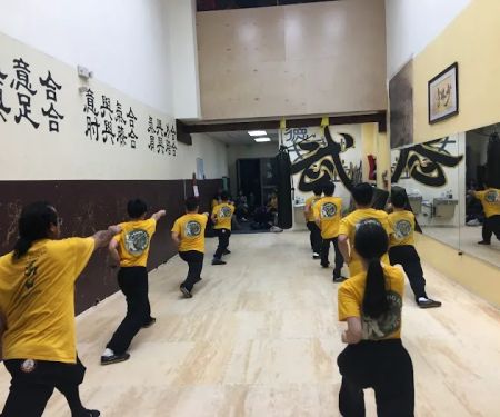 US Kung Fu Center u7f8eu56fdu5c11u6797u529fu592bu4e2du5fc3