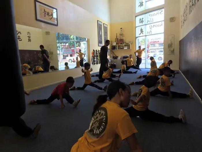 US Kung Fu Center 美国少林功夫中心 Picture 7