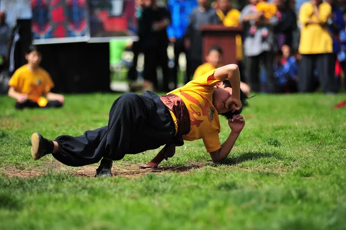 US Kung Fu Center 美国少林功夫中心 Picture 10