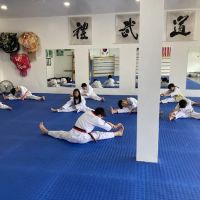 Man Tran Taekwondo ico