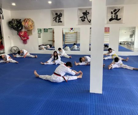 Man Tran Taekwondo