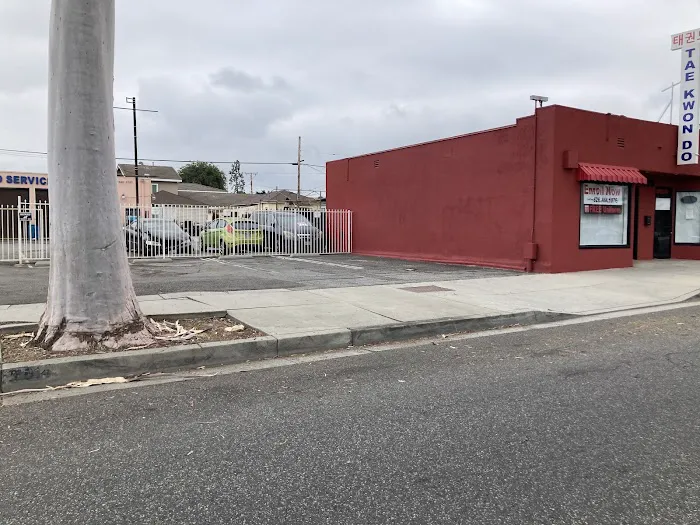 Man Tran Taekwondo Picture 3