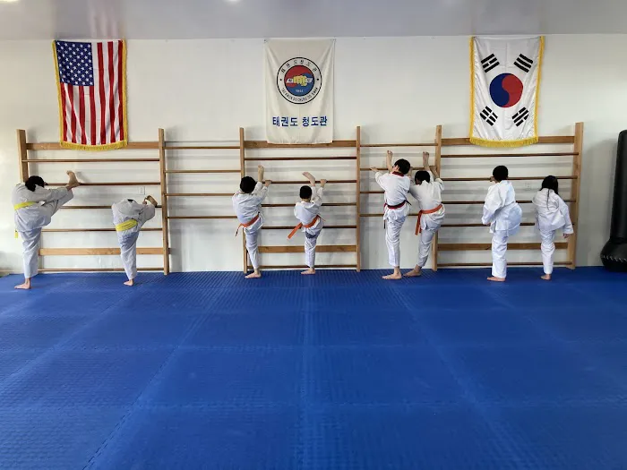 Man Tran Taekwondo Picture 4