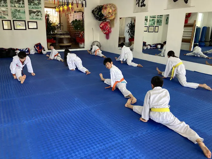 Man Tran Taekwondo Picture 5