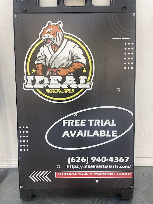 Ideal Martial Arts Picture 2