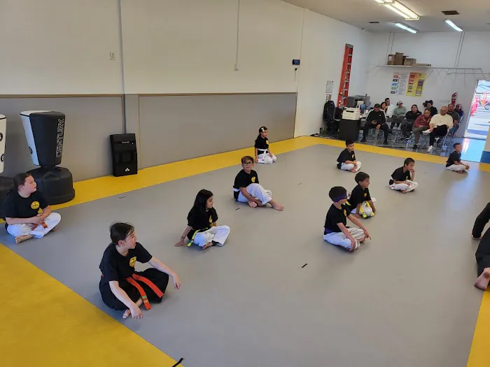 Ideal Martial Arts Picture 10