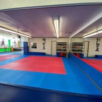 Victory Taekwondo Center ico