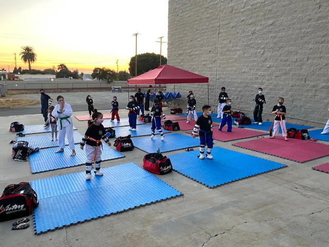 Victory Taekwondo Center Picture 4