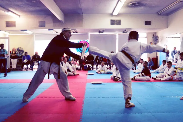 Olympian Taekwondo Center Picture 9