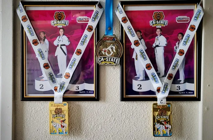 Olympian Taekwondo Center Picture 10