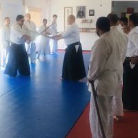 Aikido of Los Angeles ico