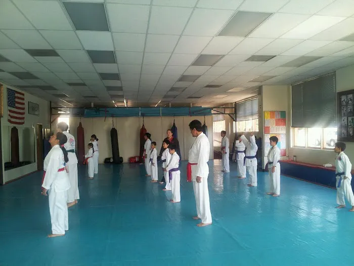 Kim’s Hapkido Picture 1