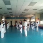 Kim’s Hapkido
