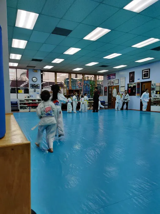 Kim’s Hapkido Picture 2