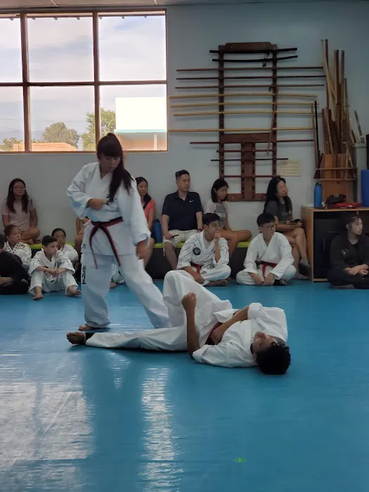 Kim’s Hapkido Picture 8