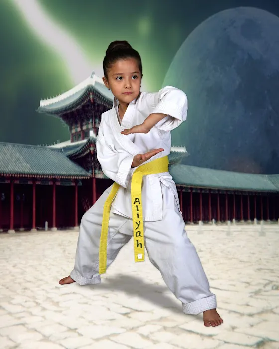 Kim's Hapkido Karate Studio Picture 2