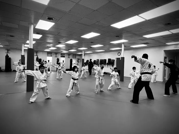 Kim's Hapkido Karate Studio Picture 10
