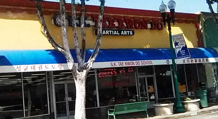 SK TAEKWONDO Picture 4