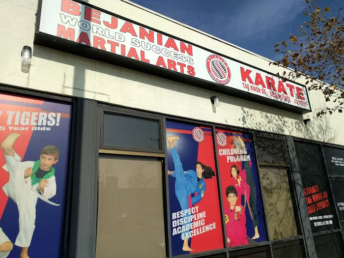 Bejanian Martial Arts Picture 2