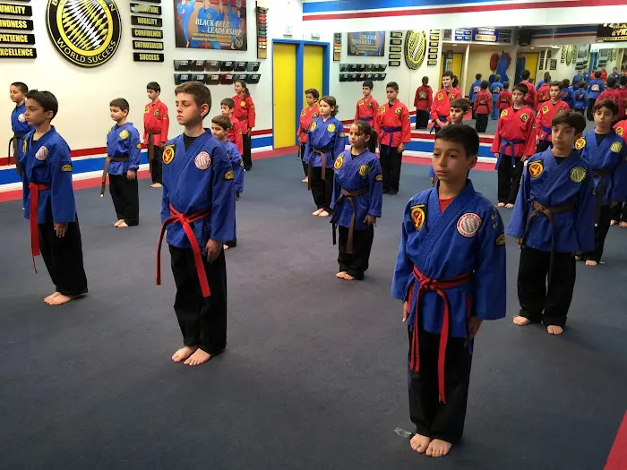 Bejanian Martial Arts Picture 4