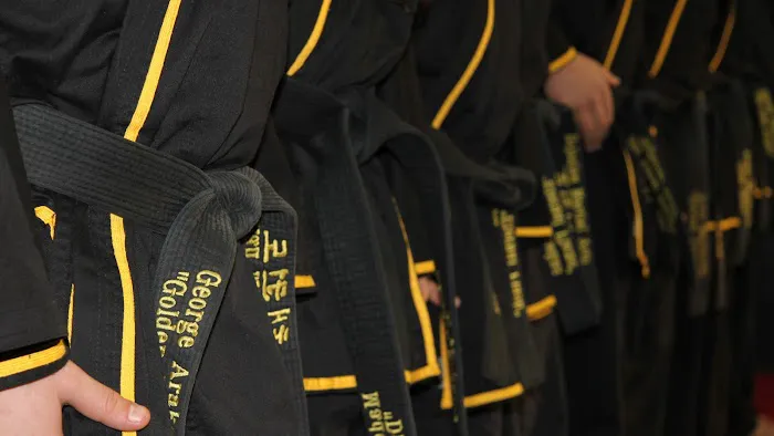 Bejanian Martial Arts Picture 5