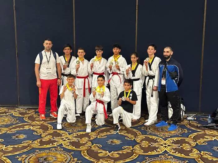 Yeremyan's Taekwondo Club Picture 3