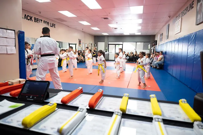 Yeremyan's Taekwondo Club Picture 1