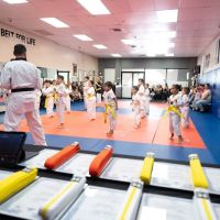Yeremyan's Taekwondo Club ico