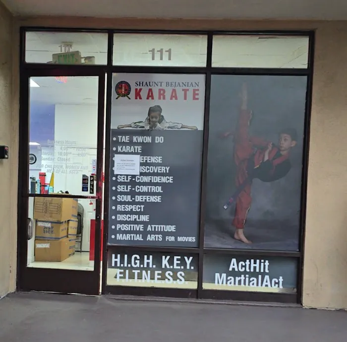 Shaunt Bejanian Karate Picture 1