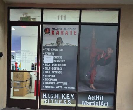 Shaunt Bejanian Karate