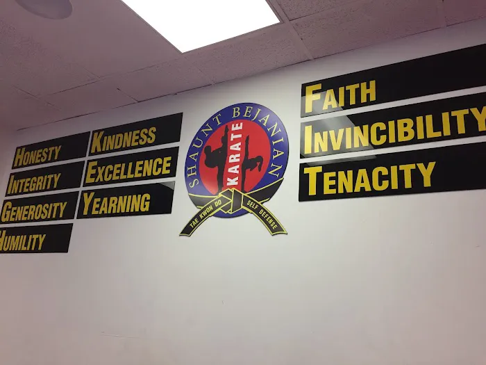 Shaunt Bejanian Karate Picture 3