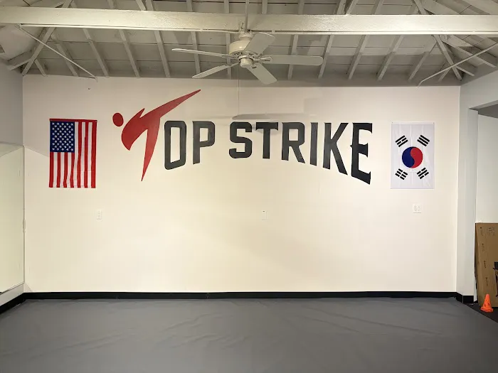 Top Strike TKD Picture 1