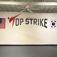 Top Strike TKD ico