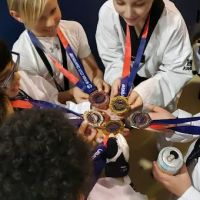 MTC/Master's Taekwondo Club ico