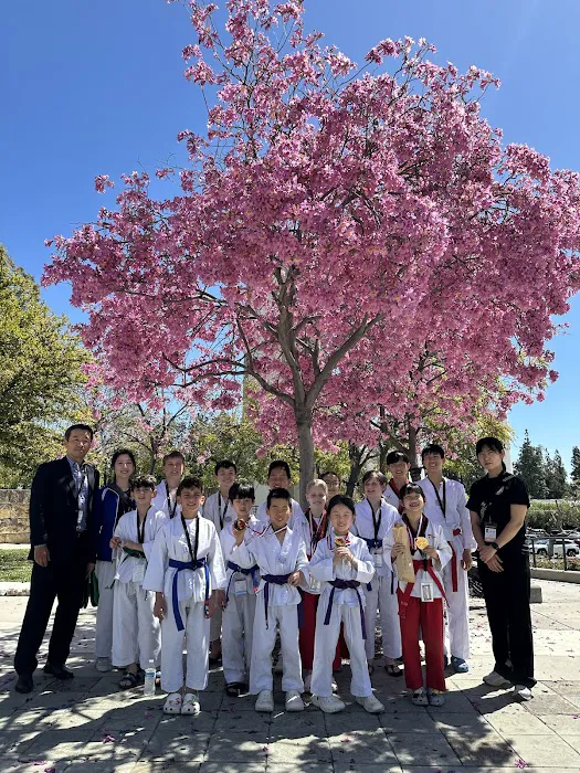 MTC/Master's Taekwondo Club Picture 9