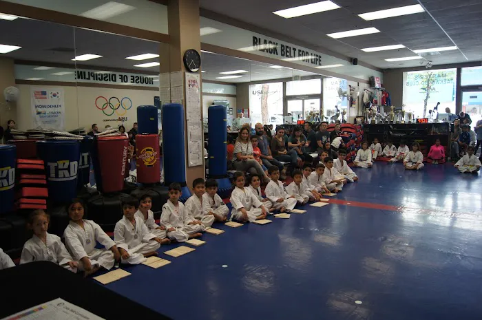 MTC/Master's Taekwondo Club Picture 8