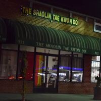 Shaolin Taekwondo ico