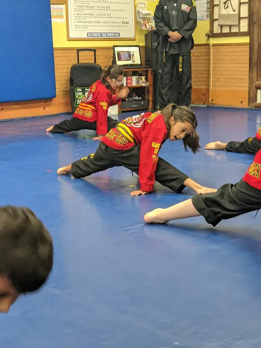 Ultimate Tae Kwon Do / Martial Arts - Burbank (Headquarters) Picture 2