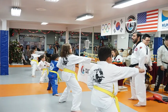 Doha Taekwondo - La Crescenta Picture 2
