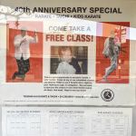 Tenshin-Kai Taichi & Karate