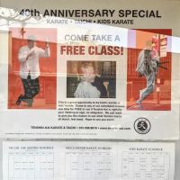 Tenshin-Kai Taichi & Karate ico