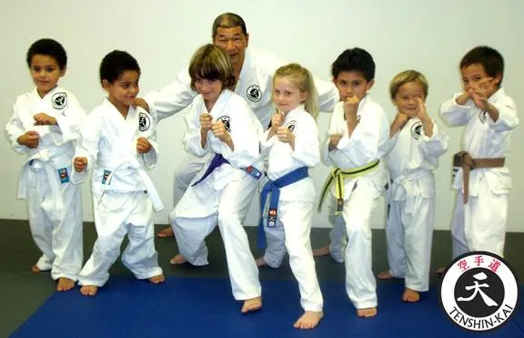 Tenshin-Kai Taichi & Karate Picture 5
